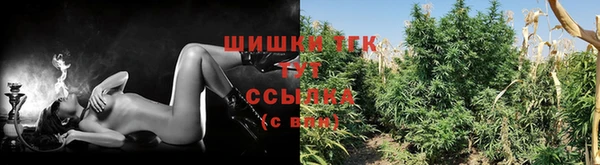 индика Каменск-Шахтинский
