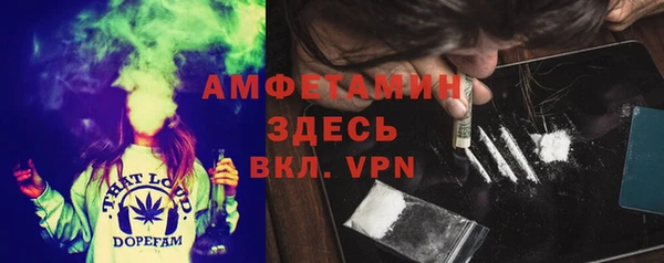 индика Каменск-Шахтинский