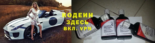 индика Каменск-Шахтинский