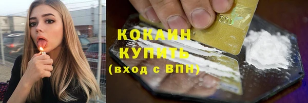 индика Каменск-Шахтинский