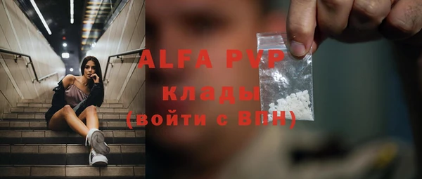 индика Каменск-Шахтинский