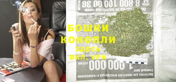 индика Каменск-Шахтинский