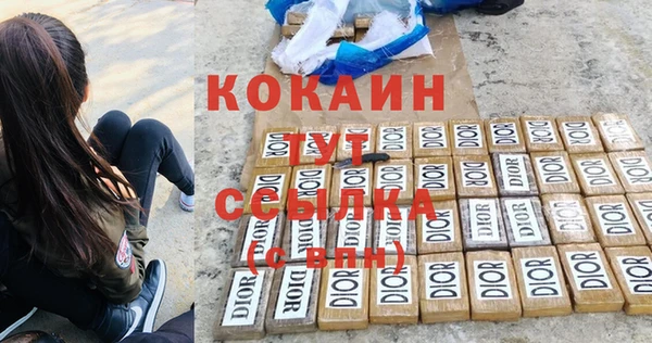 индика Каменск-Шахтинский