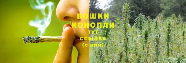 индика Каменск-Шахтинский
