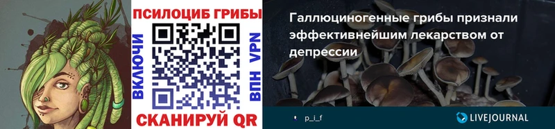 Псилоцибиновые грибы MAGIC MUSHROOMS  Купить закладки  Сердобск 
